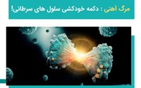 مرگ آهنی: دکمه خودکشی سلول های سرطانی